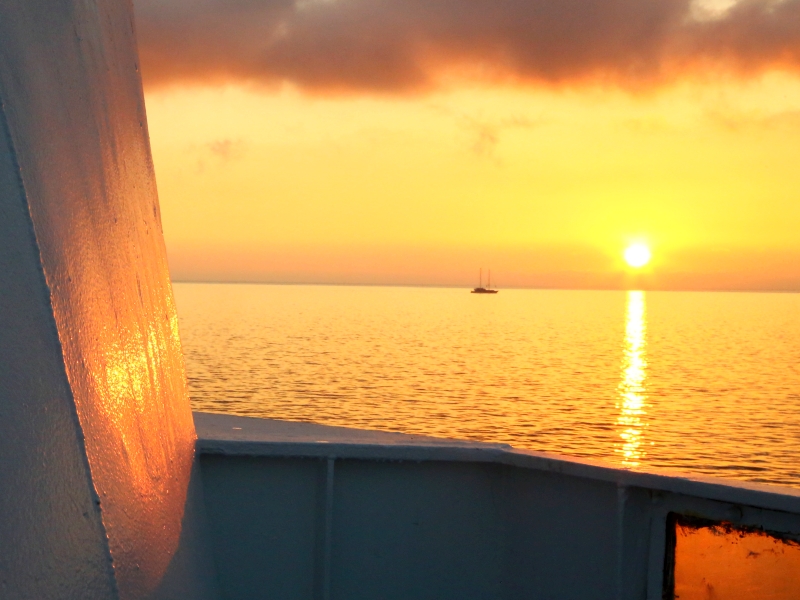 Auf zur Sonneninsel Korsika. (c) Andreas Burkert