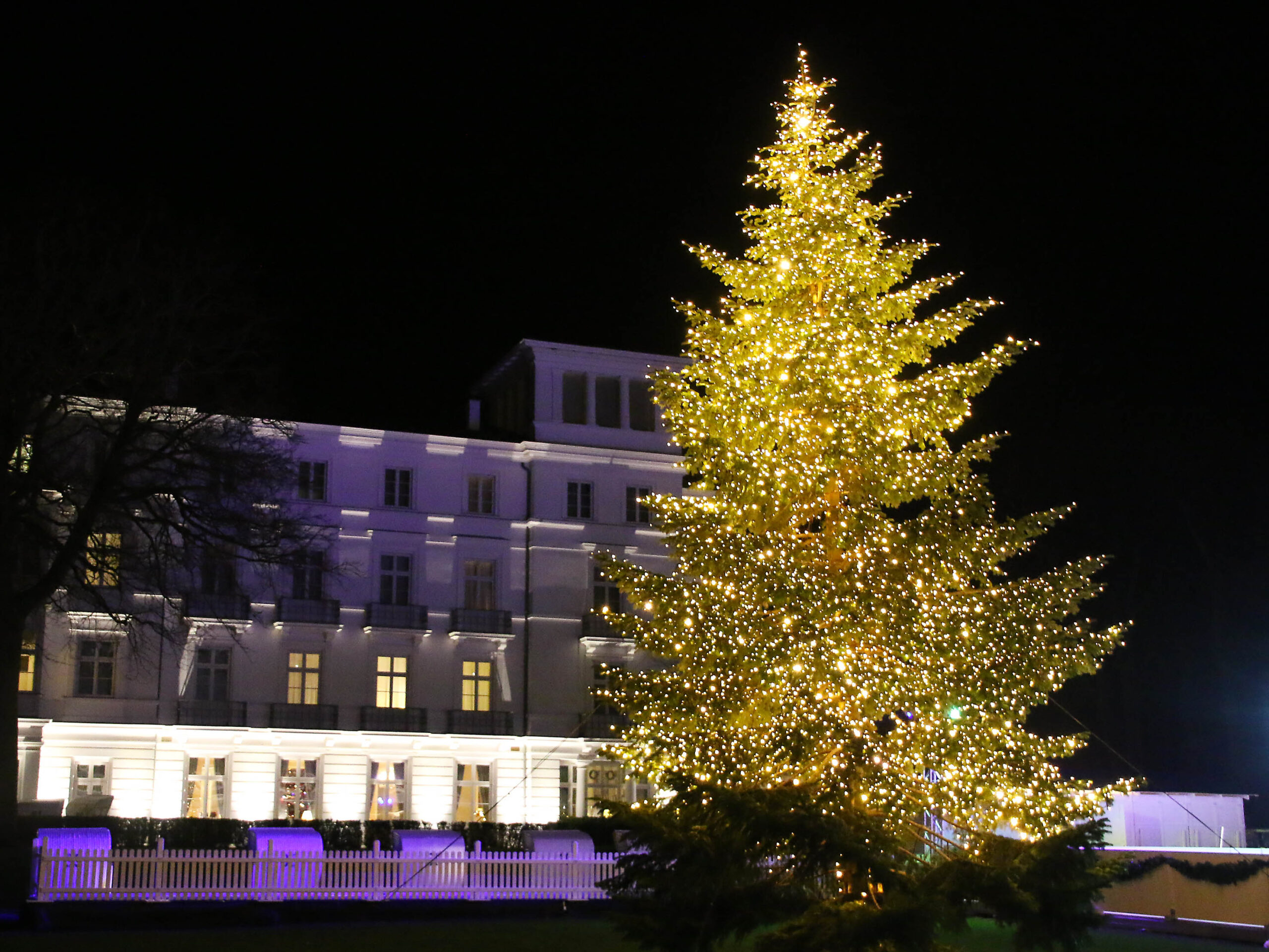 Die größte Weihnachtstanne an der Ostsee soll nach eigenen Angaben im Grand Hotel Ensemble stehen. © Dagmar Köhler