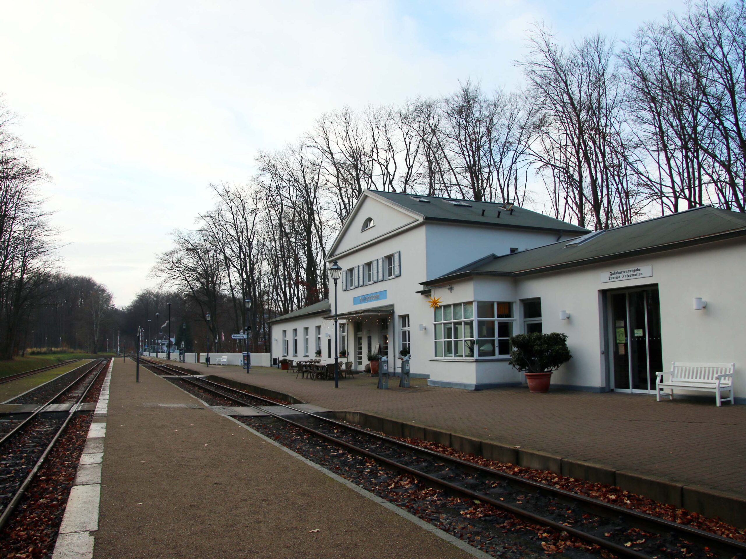 Mit der Bäderbahn Molli lassen sich Bad Doberan und Kühlungsborn erreichen. © Dagmar Köhler