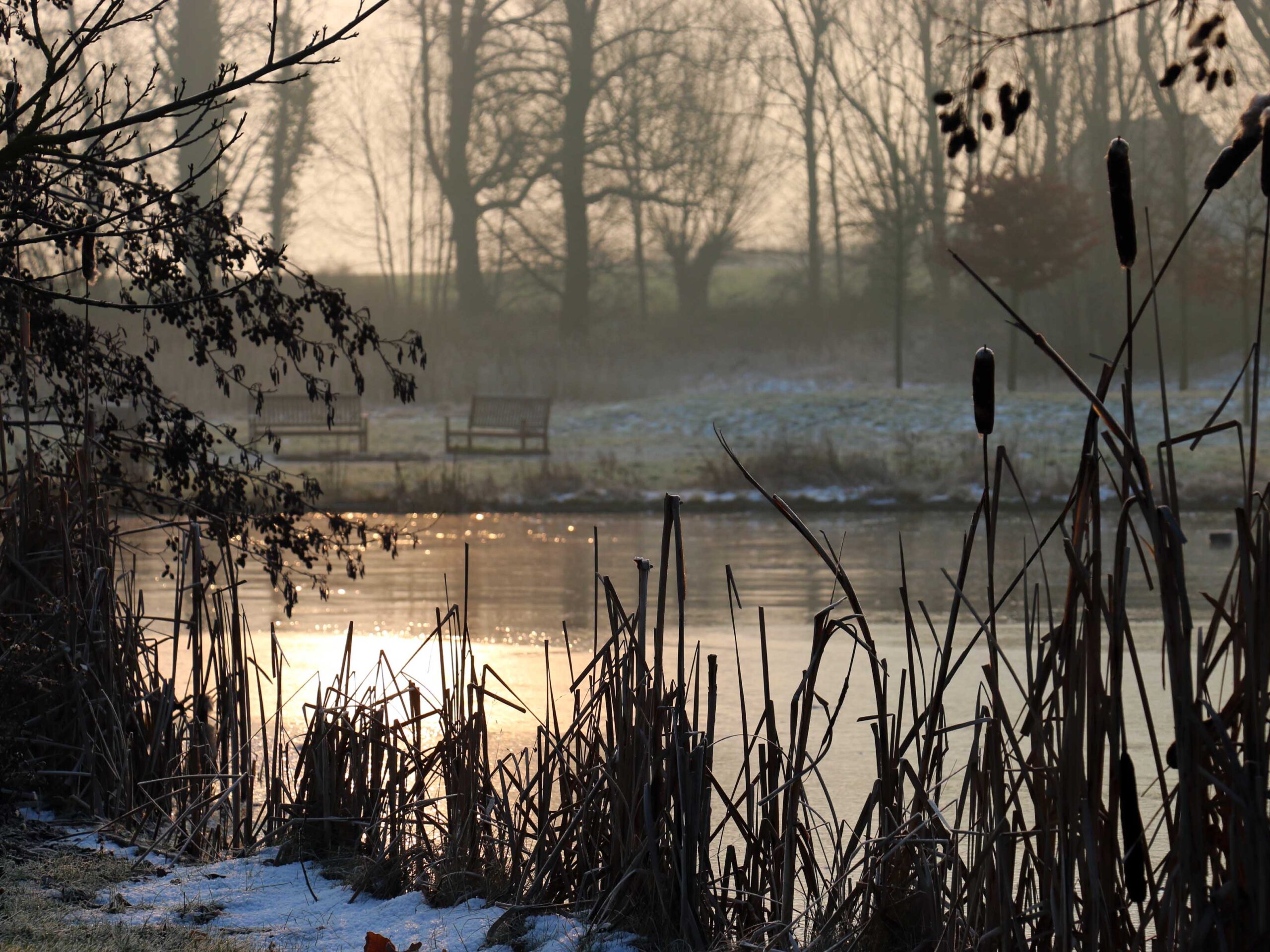 Schlossteich und -park, ein wahres Refugium. © Dagmar Köhler