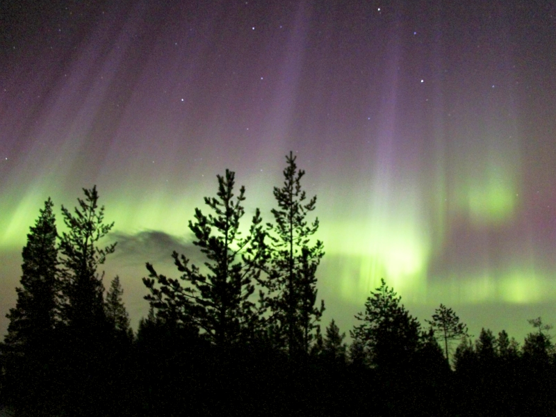 Nordlichter sind an manchen Tagen einfach nur faszinierend. (c) Kairankutsu