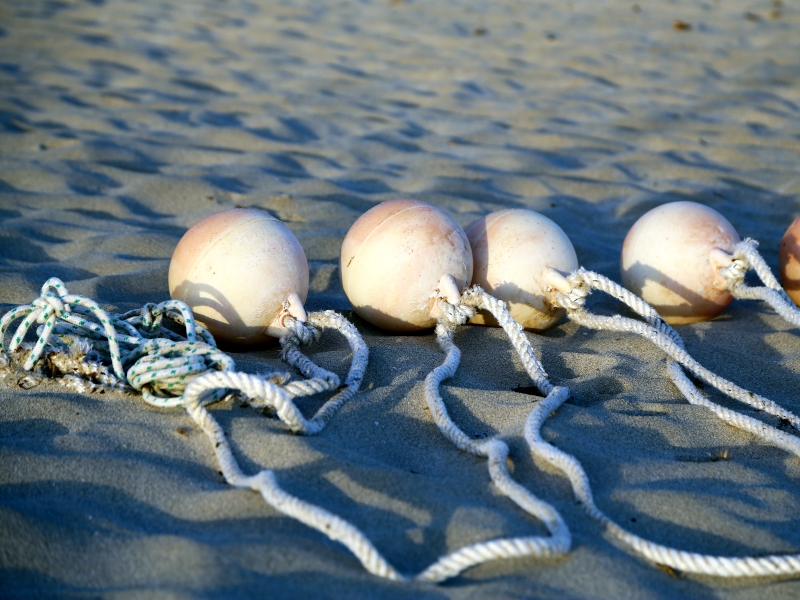 Der Strand von Port de Pollensa ist für Familien sehr gut geeignet. (c) Andreas Burkert